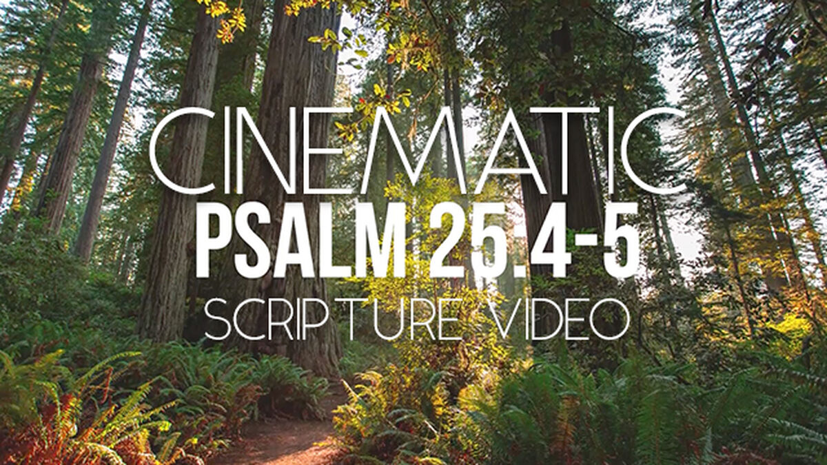 Cinematic Scripture Bumper Video: Psalm 25 image number null